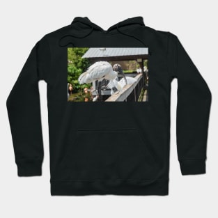 Wood stork of Gatorland Hoodie